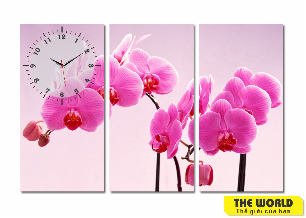 tranh đồng hồ treo tường hoa lan